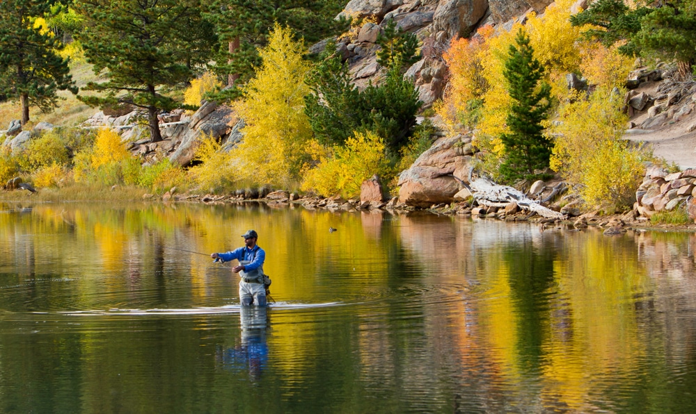 Man in the river in fall enjoying the best fly fishing in Colorado