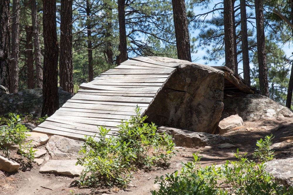 Obstacle on one of the top Durango Mountain bike trails